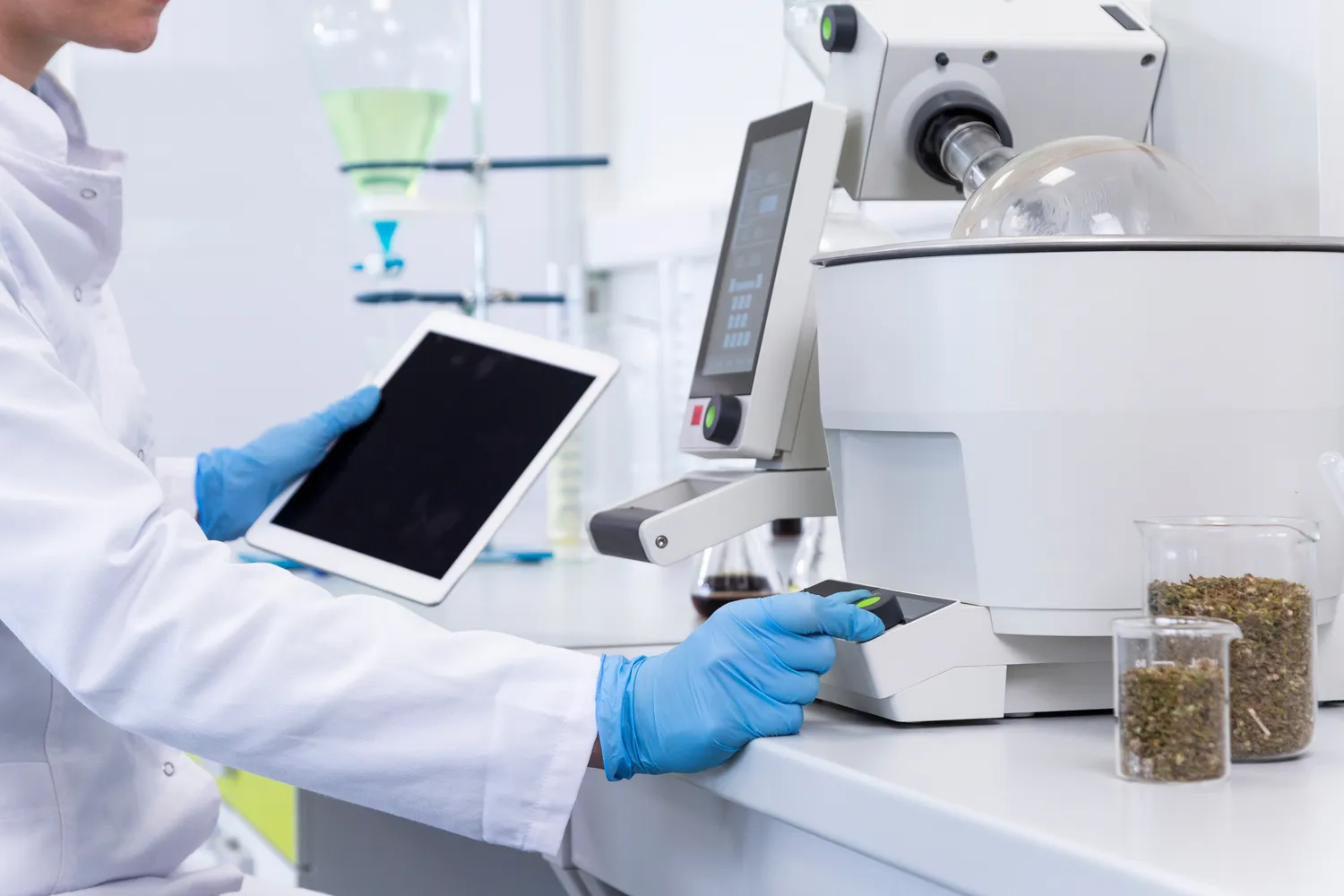 Ile kosztuje szklarz?